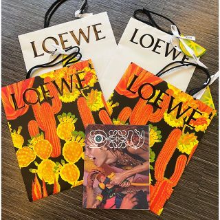 ロエベ(LOEWE)のりーちゃん様専用　ロエベ  2022 ショッパー　ルックブック(ショップ袋)