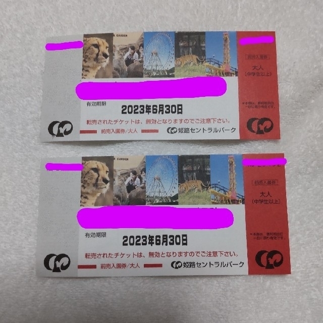 姫路セントラルパーク チケット 2枚