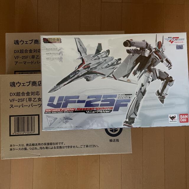 DX超合金 VF-25Fメサイアバルキリー(早乙女アルト機)リニューアルVer.ケイオス