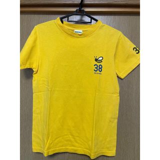 ランドリー(LAUNDRY)の38  ミツバチ☆ Tシャツ(Tシャツ(半袖/袖なし))