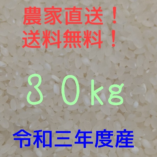 食品/飲料/酒愛媛県産お米ヒノヒカリ30kg