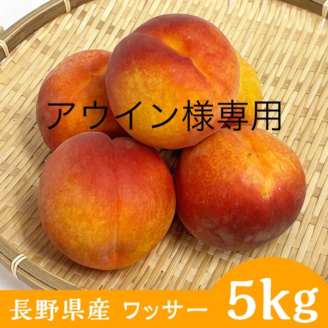 【小玉5.5キロ】信州産 早生ワッサー 甘くて固い桃
