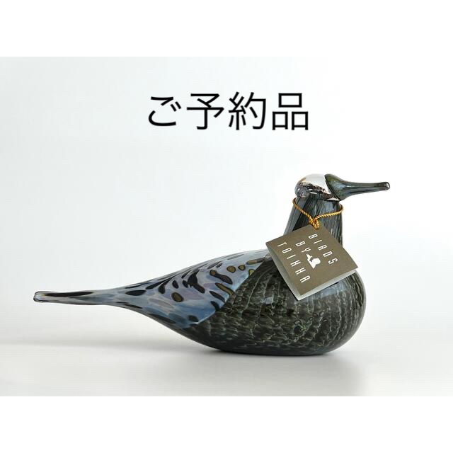 Song Thrush 1997年 箱付き アニュアルバード イッタラ