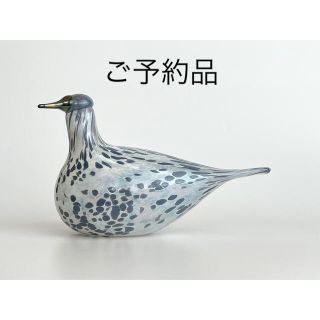 イッタラ(iittala)のMistle Thrush 2013年 アニュアルバード イッタラ(置物)