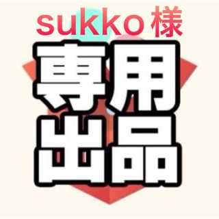 sukko様専用　下地処理シャンプー3本(洗車・リペア用品)