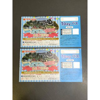 東京サマーランド株主優待券フリーパス券2枚セット プールと遊園地(プール)