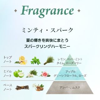 SABON - SABON ミンティースパーク シャワーオイル&ボディースクラブ