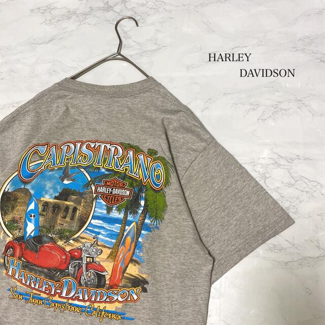 トップスTシャツ　ハーレーダビッドソン　激レア　風景　　胸ポケット　ビンテージ
