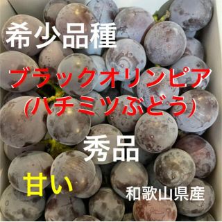 希少品種　甘い　ブラックオリンピア　葡萄　ぶどう　果物(フルーツ)