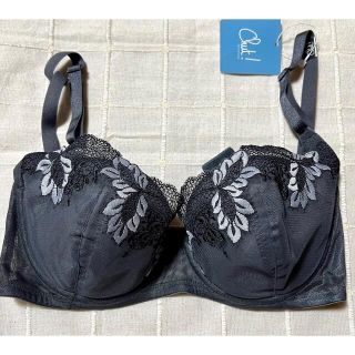 シュットインティメイツ(Chut! INTIMATES)の専用　2枚おまとめ割引(ブラ)