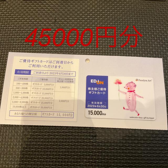 エディオン株主優待券 45000円分 ラクマ便 2022年レディース
