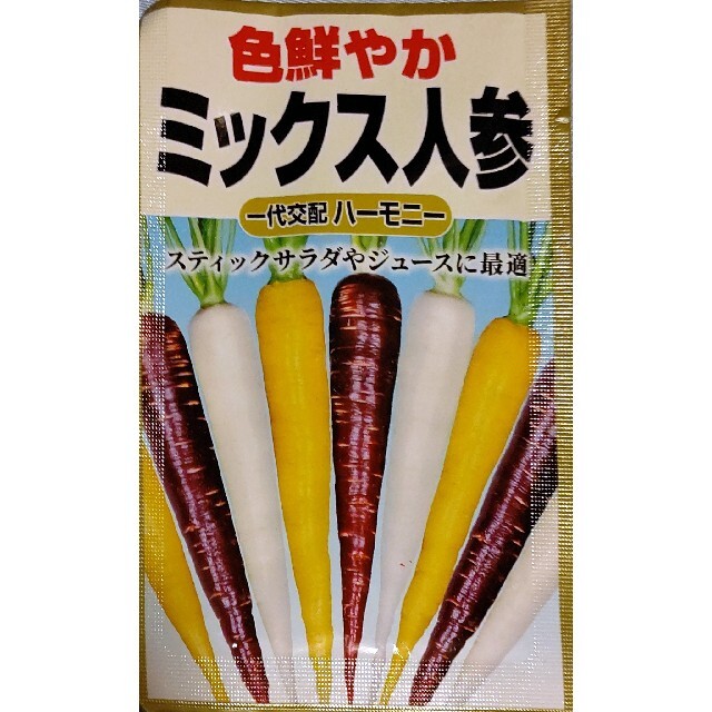 カラフルニンジン 野菜種 家庭菜園 にんじん プランター 食品/飲料/酒の食品(野菜)の商品写真