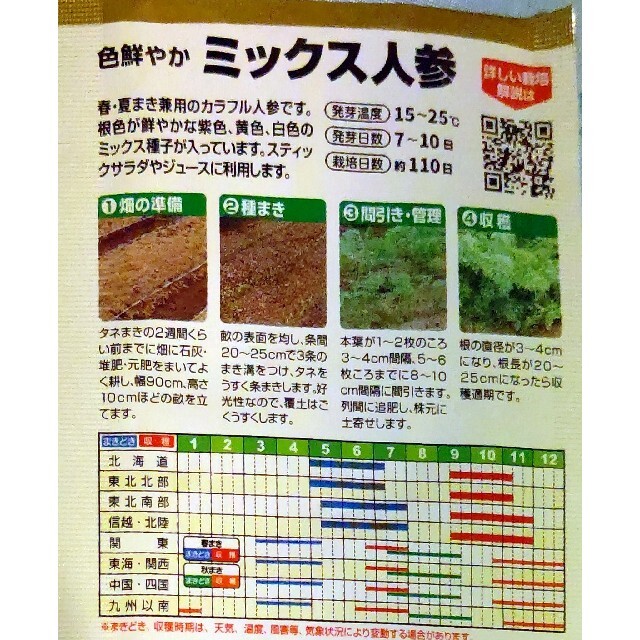 カラフルニンジン 野菜種 家庭菜園 にんじん プランター 食品/飲料/酒の食品(野菜)の商品写真