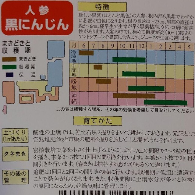 カラフルニンジン 野菜種 家庭菜園 にんじん プランター 食品/飲料/酒の食品(野菜)の商品写真