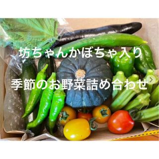 季節のお野菜詰め合わせ 坊ちゃんかぼちゃ入り 愛媛県産(野菜)