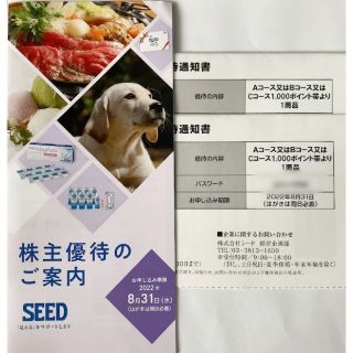 ★★シード コンタクトレンズ用品 約1万円相当(その他)
