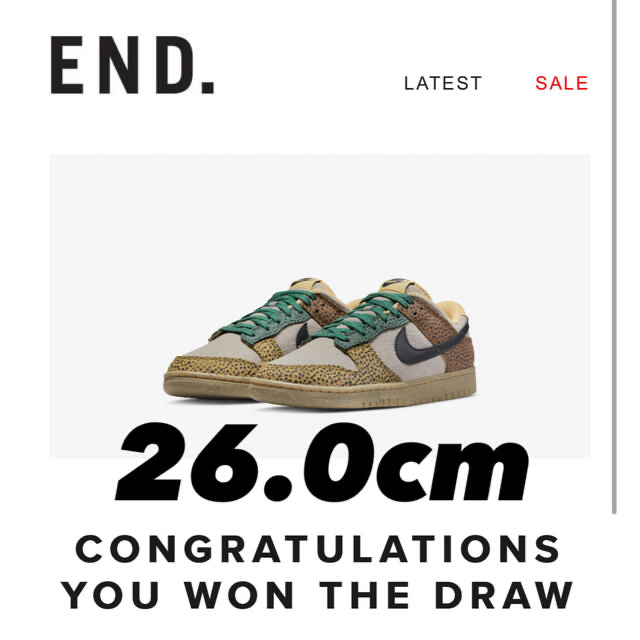 Nike Dunk Low Safari Cacao Wow