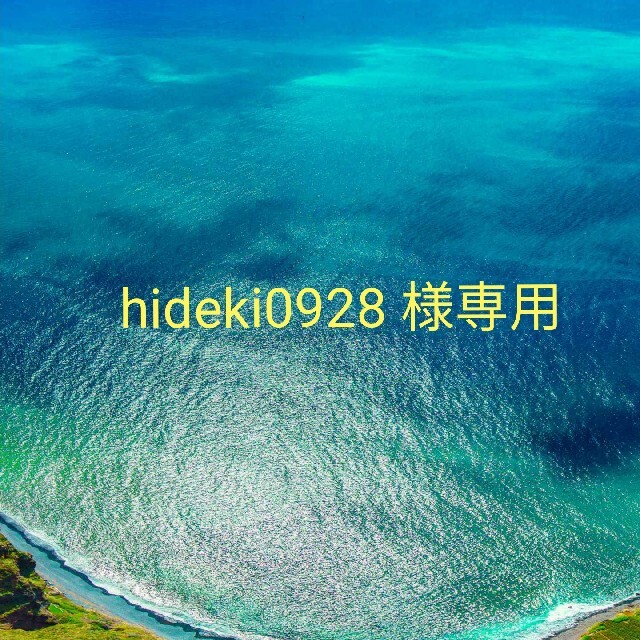 hideki0928 様専用