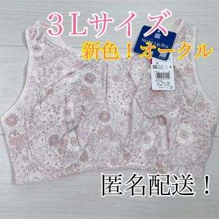 【送料込み！】☆タグ付き新品☆ ワコール ナイトアップブラ ３Ｌ　２枚(ルームウェア)