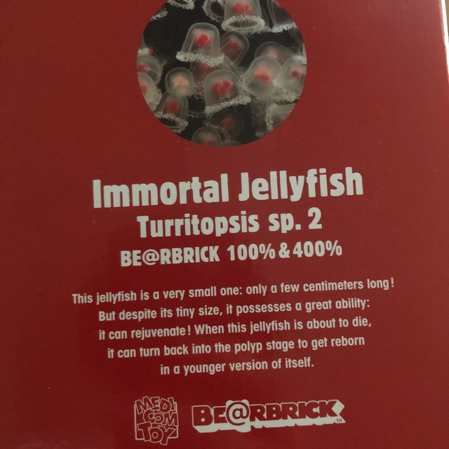 BE@RBRICK ベアブリック ベニクラゲ400% JELLYFISH