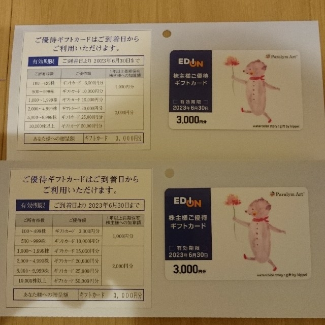 エディオン 株主優待カード 6000円分チケット