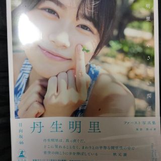 丹生明里１ｓｔ写真集　やさしい関係(アート/エンタメ)