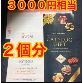 キンテツヒャッカテン(近鉄百貨店)のアイコム 株主優待 カタログギフト 3000円相当分 2冊(ショッピング)