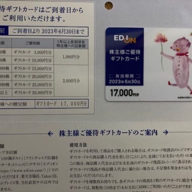 エディオン 株主優待 17000円分優待券/割引券