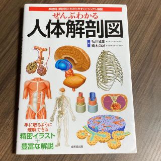 ぜんぶわかる人体解剖図 系統別・部位別にわかりやすくビジュアル解説(その他)