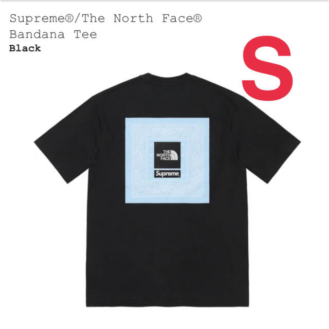 Supreme(シュプリーム)のSupreme® The North Face®  Bandana Tee メンズのトップス(Tシャツ/カットソー(半袖/袖なし))の商品写真