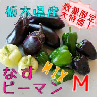 栃木県産　なす・ピーマンMIX【60サイズ】(野菜)