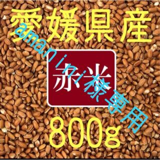 amanini様専用  赤米（古代米）　800ｇ(米/穀物)