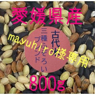 mayuhiro様専用　古代米3種ふぞろいブレンド　愛媛県産　800ｇ(米/穀物)