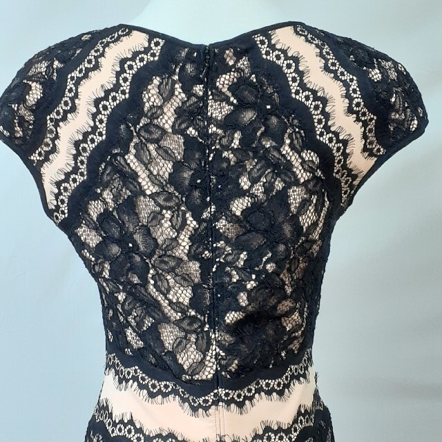 でおすすめアイテム。 新品 TADASHI SHOJI サイズ6 T60 asakusa.sub.jp
