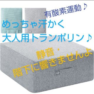 大人用トランポリン  有酸素運動 耐荷100kg 、静音・階下への振動も心配無用(その他)