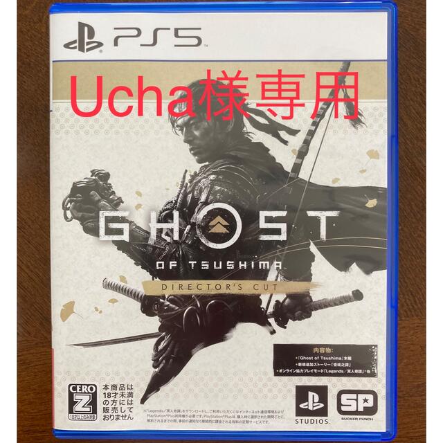 Ghost of Tsushima Director's Cut PS5