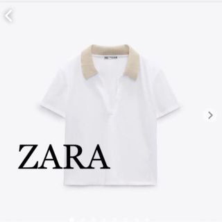 ザラ(ZARA)のZARA 襟付き　カットソー(カットソー(半袖/袖なし))