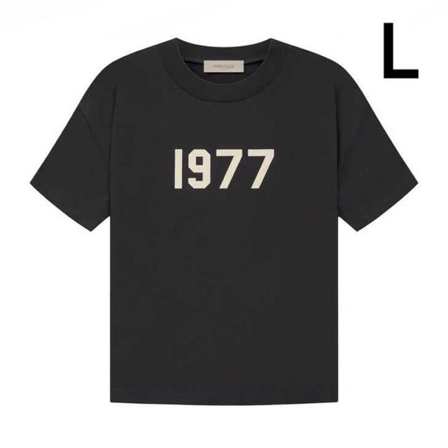 Ironサイズfog essentials tシャツ エッセンシャルズ　1977