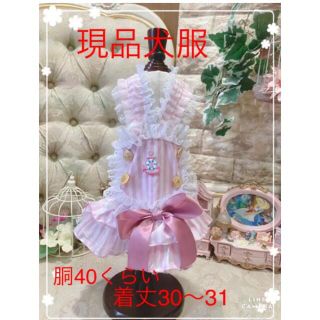 D16pon2 pan2ミリィ様専用(ペット服/アクセサリー)