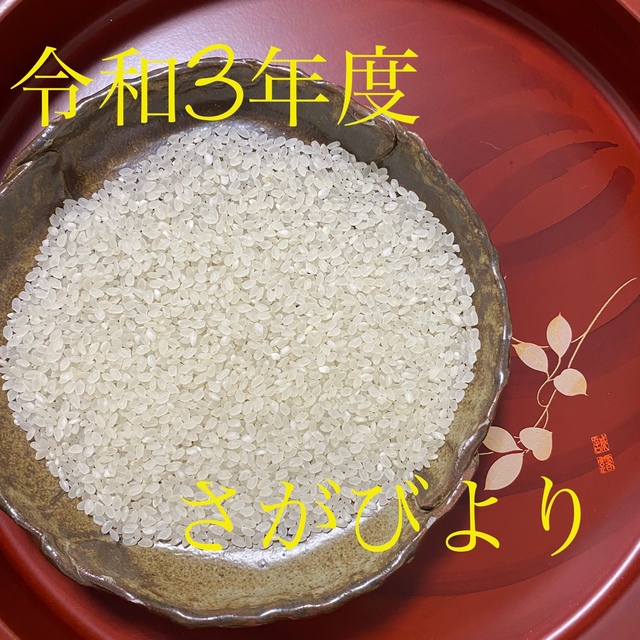 令和3年度産・特A評価！農家直送のさがびより・20キロ - 米/穀物