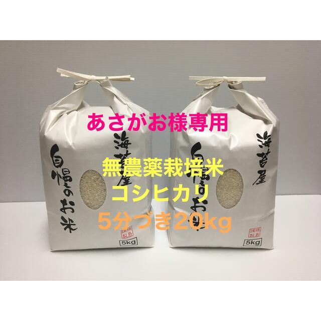 あさがお様専用 無農薬コシヒカリ5分づき20kg、無酸処理 焼き海苔50枚 最安値