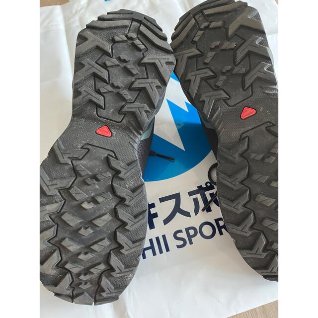 SALOMON(サロモン)のサロモン　トレッキングシューズ　X REVEAL W スポーツ/アウトドアのアウトドア(登山用品)の商品写真