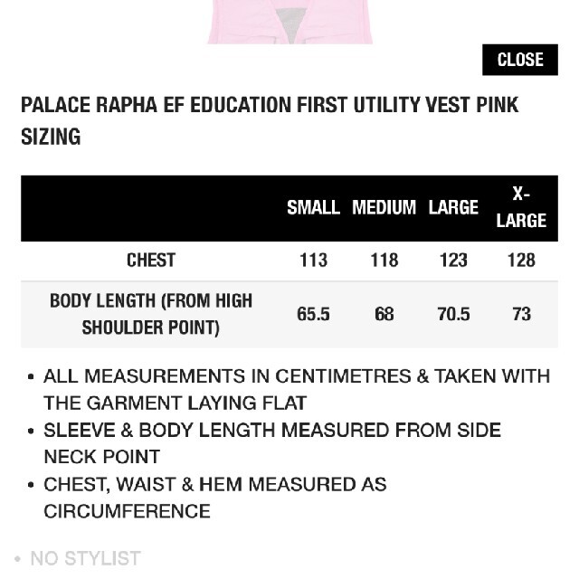 PALACE(パレス)のPALACE x RAPHA EF UTILITY VEST PINK M メンズのトップス(ベスト)の商品写真