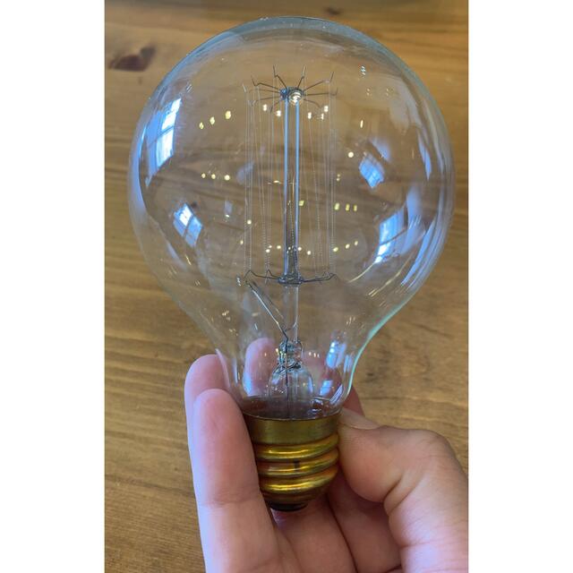 最新作の ニトリ ペンダントライト 電球付き 天井照明