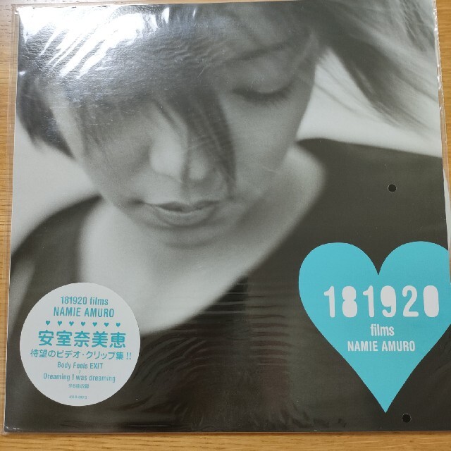 安室奈美恵 181920 レーザーディスク 1枚 - www.husnususlu.com