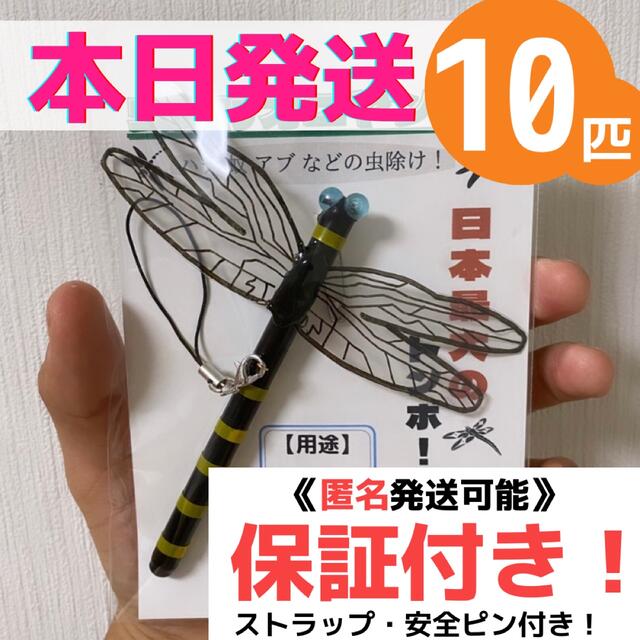 おにやんま君【10匹】【24時間以内発送】【虫除けオニヤンマ！】 【アウトドア】