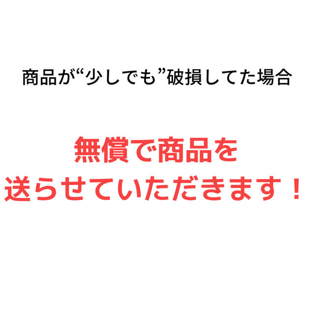 おにやんま君【10匹】【24時間以内発送】【虫除けオニヤンマ！】 【アウトドア】 1