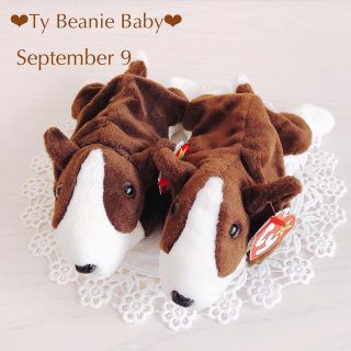 タグ付き*Ty Beanie Baby*September 9/ Bruno(ぬいぐるみ)