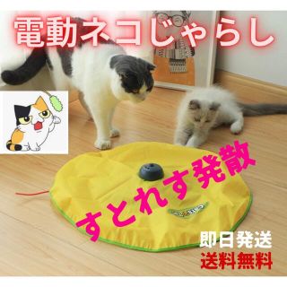 電動猫じゃらし 電動猫おもちゃ 電動ネコじゃらし 電動ねこじゃらし ネコジャラシ(おもちゃ/ペット小物)