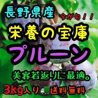 美容効果バツグン✨抗酸化物質で若返り　長野県産プルーン3kg入(米/穀物)